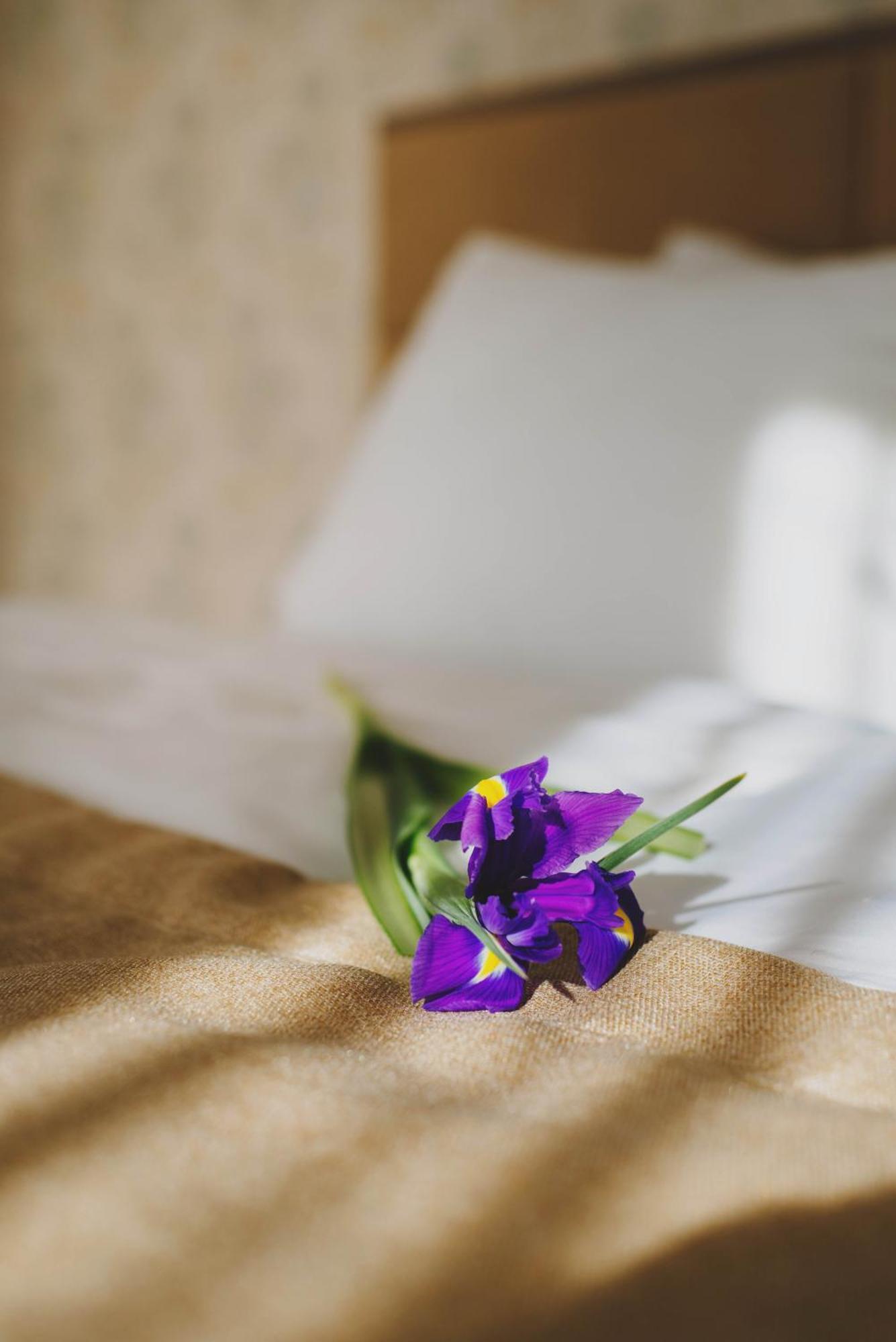 Hotel Alkor Τρούσκαβετς Δωμάτιο φωτογραφία